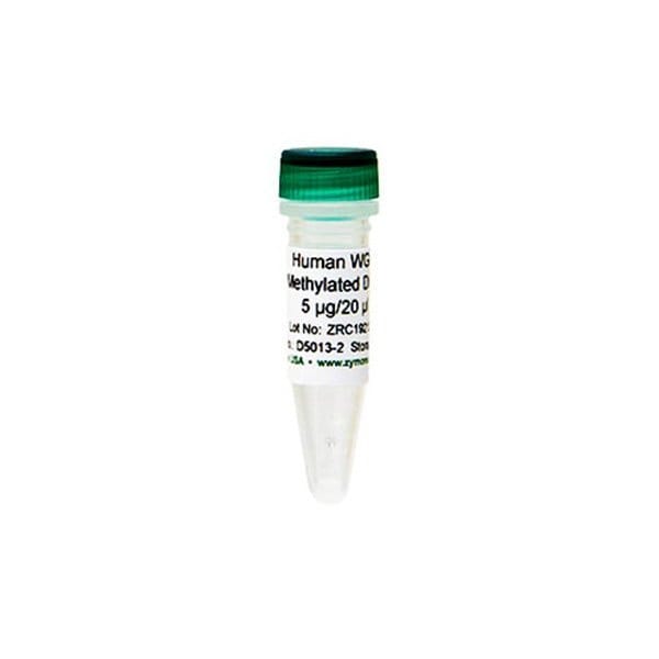 Zymo Research Human WGA Methylated DNA 5 ug/20 ul ZD5013-2 - main